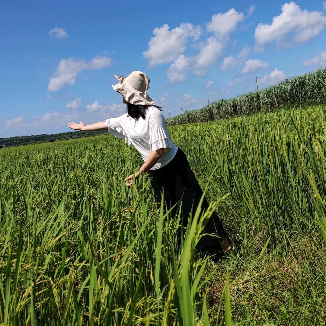 逆风飞翔的莉莉