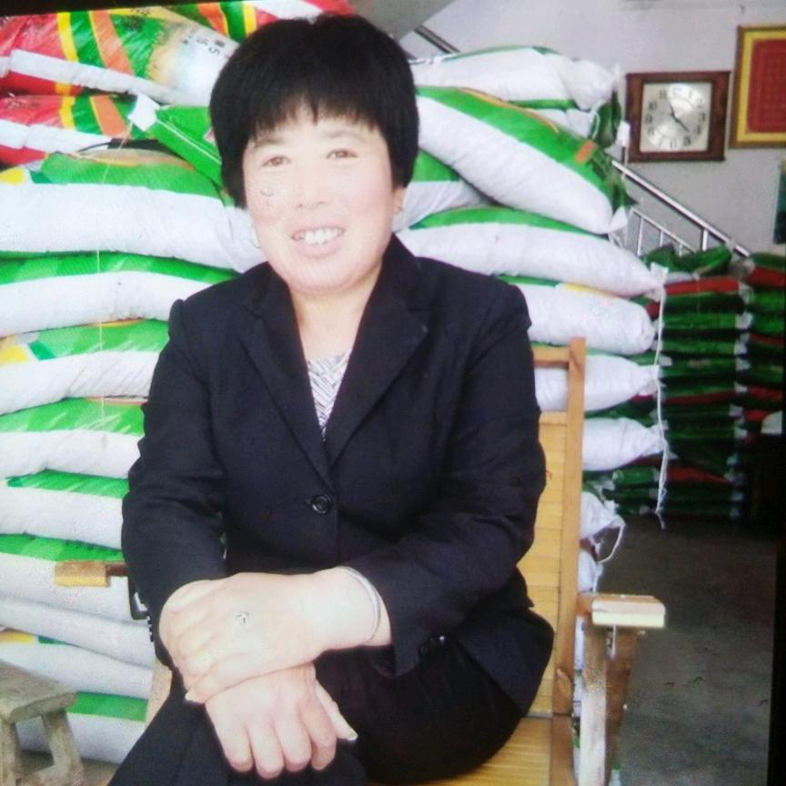 辉隆复合肥孙素兰