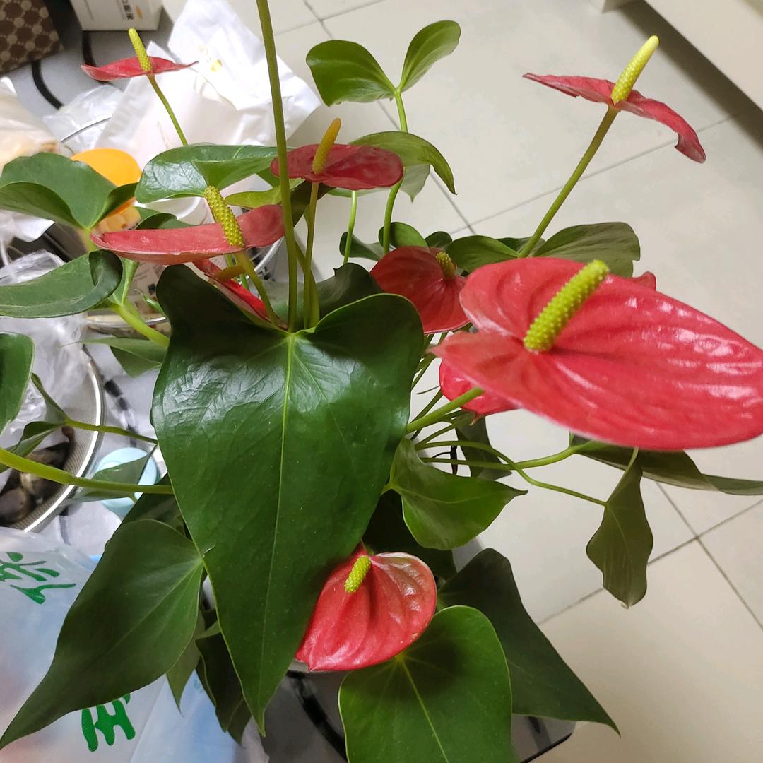 萍水相逢_