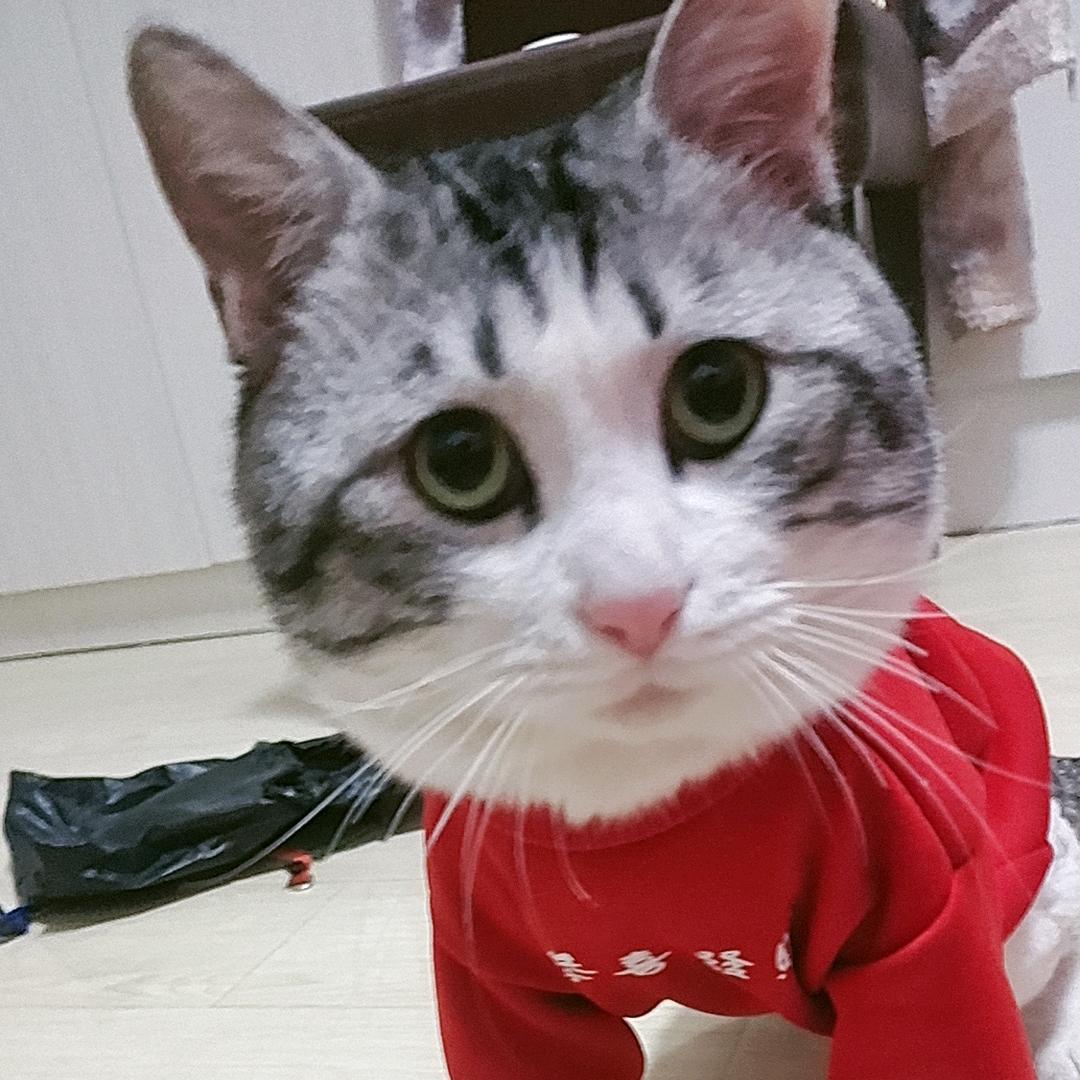 我要两个西柚💋