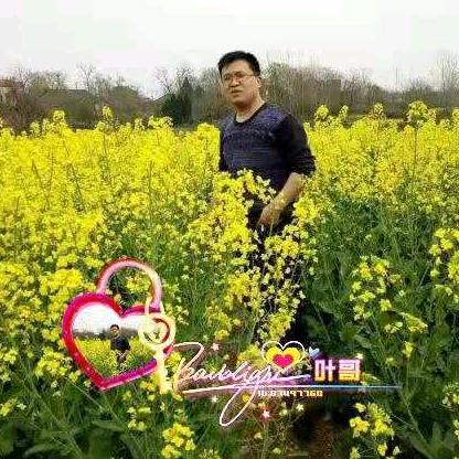 武汉浩酷叶哥哥