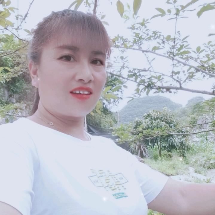 杨国珍