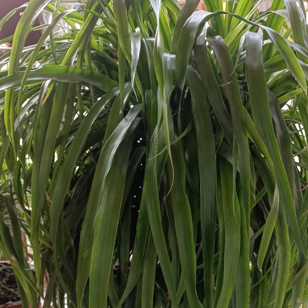 🌈万事顺意，6972