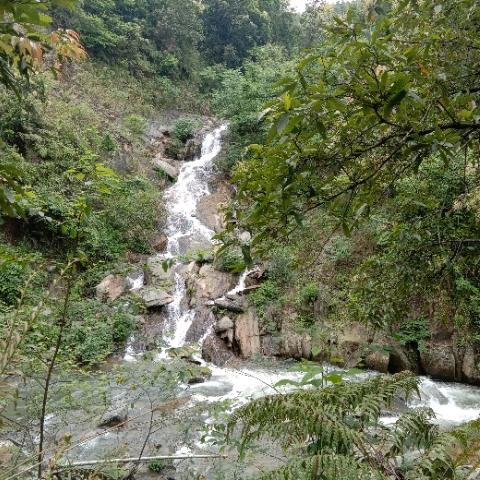 用户4990543752581沉默