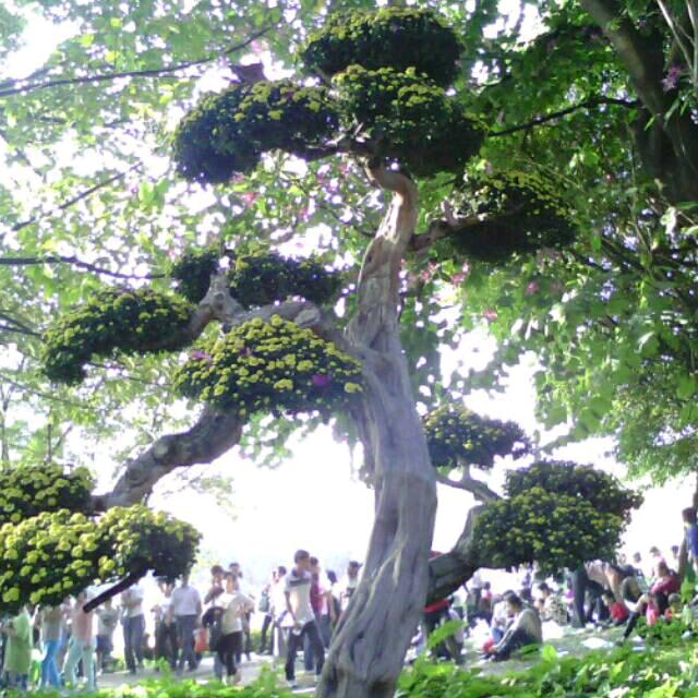 顺其自然