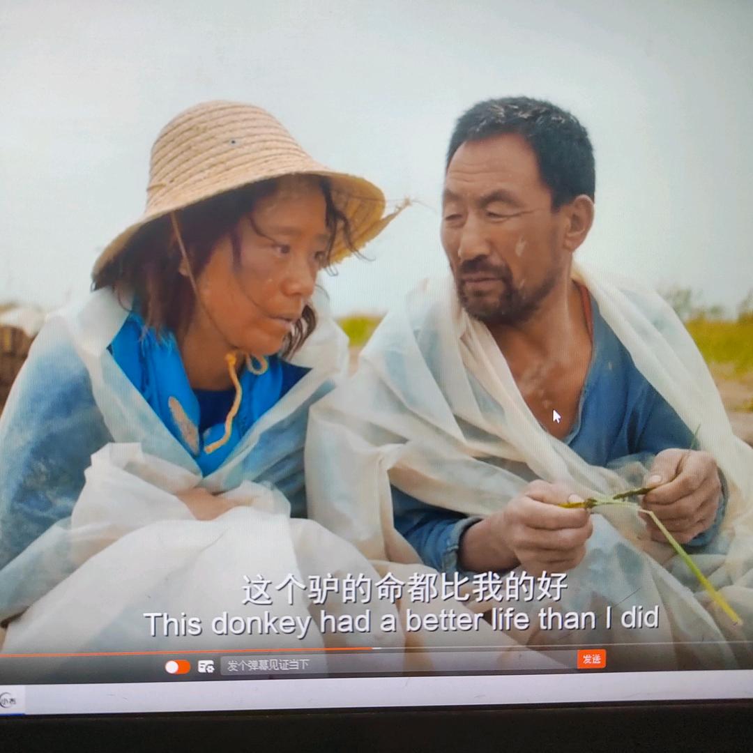💪💪👌短剧风云汇💪💪👌