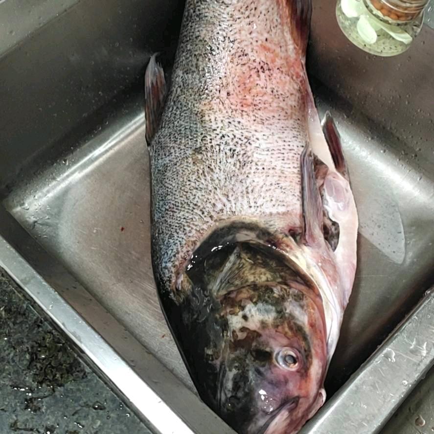 纯万绿湖野生鱼