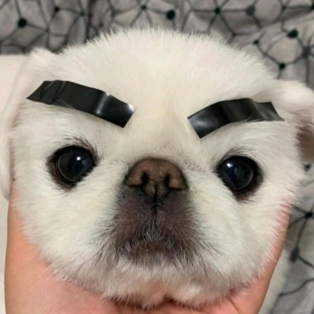 莲莲ixe