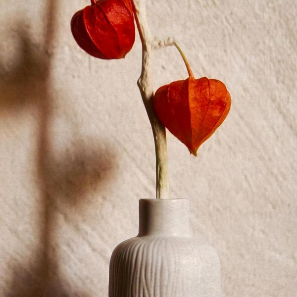 在水一方（7123）