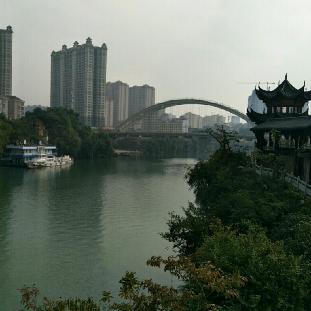 风中劲草