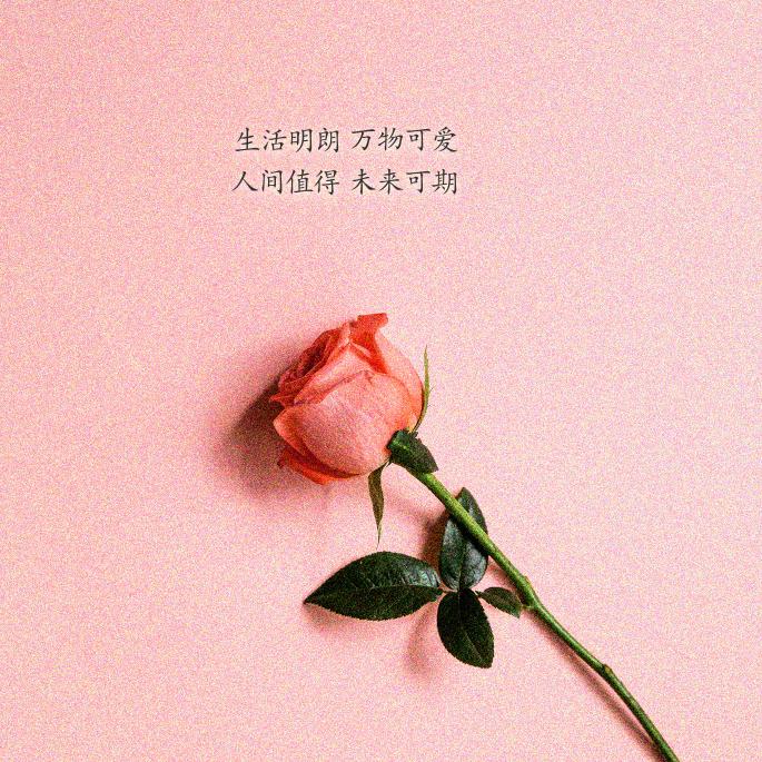 艳