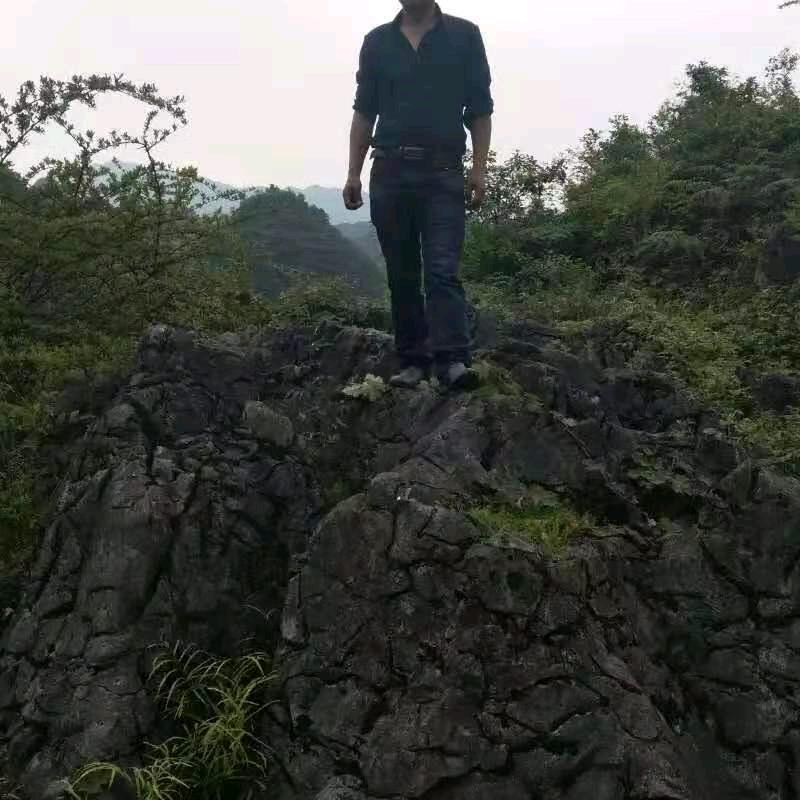 曾绍伦