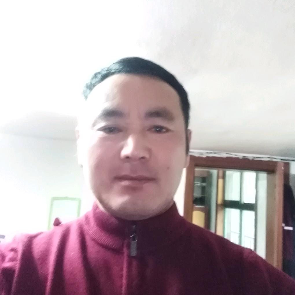 朱其龙