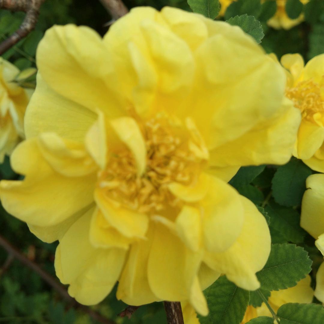 ❤开❤心❤幸福驿站