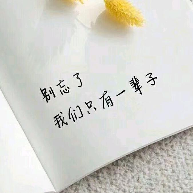 赵小媛