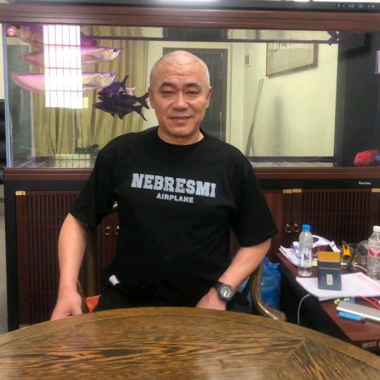 不在动情