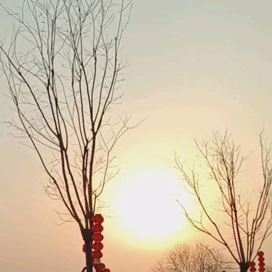 大爱家政（起凤）