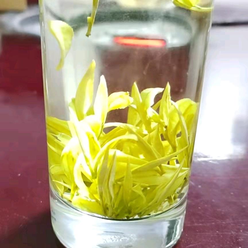 贵州省凤冈锌硒黄茶