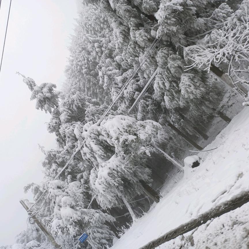 🩷很 💍聪🩷明