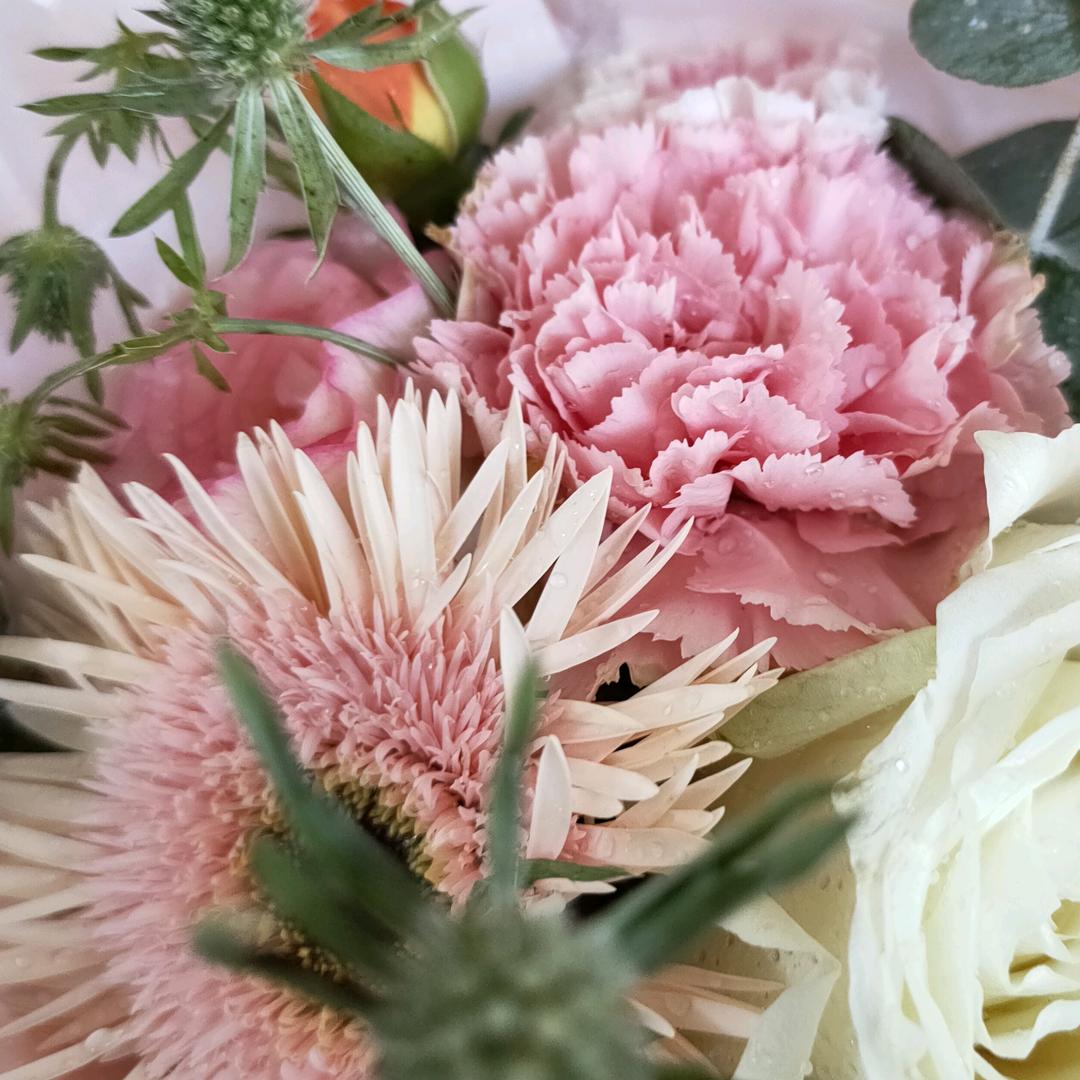 🌵🌵🌵刘