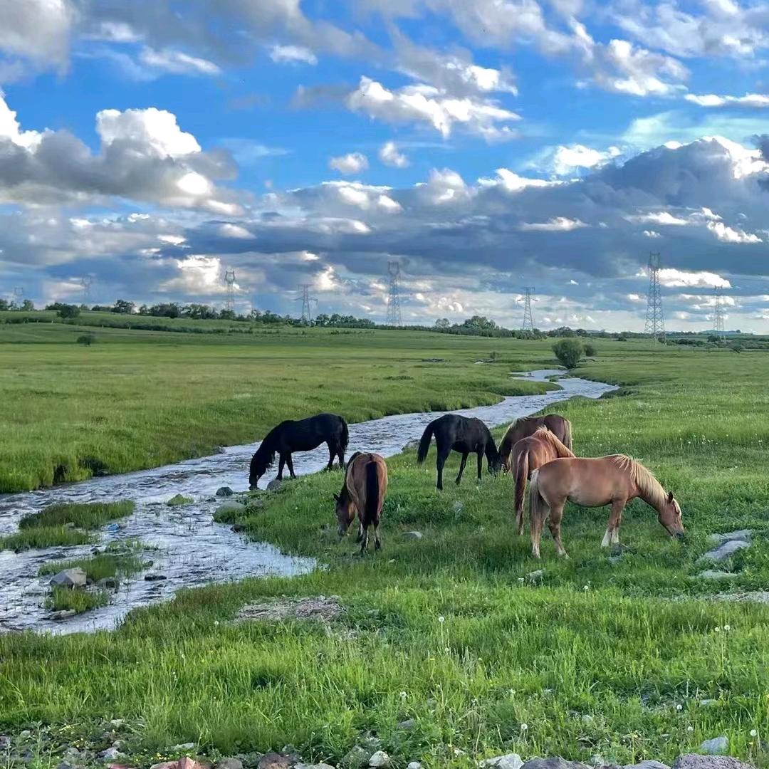 困惑.什么是幸福和睦