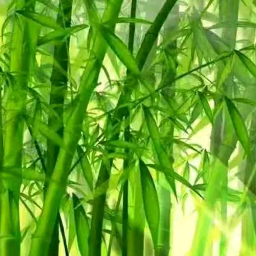 营里乐宾购物