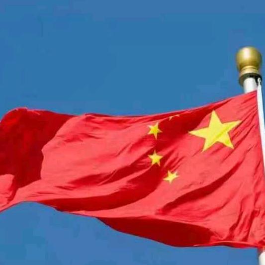 精忠报国