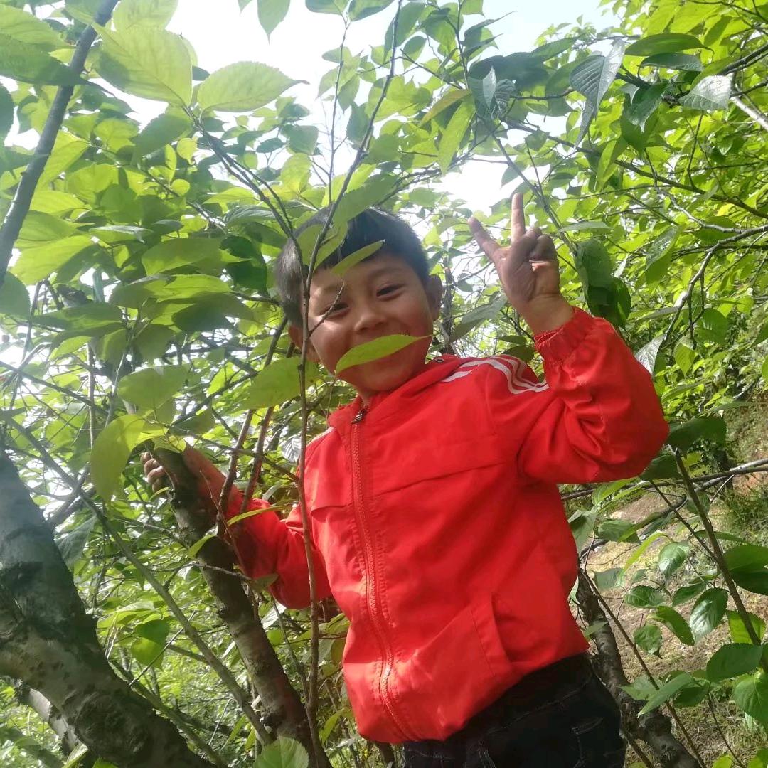 两情相悦