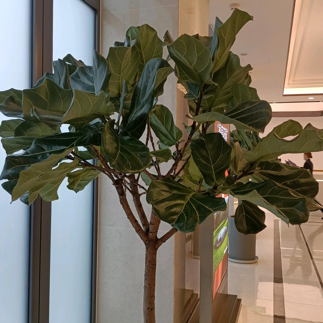 悦月说房