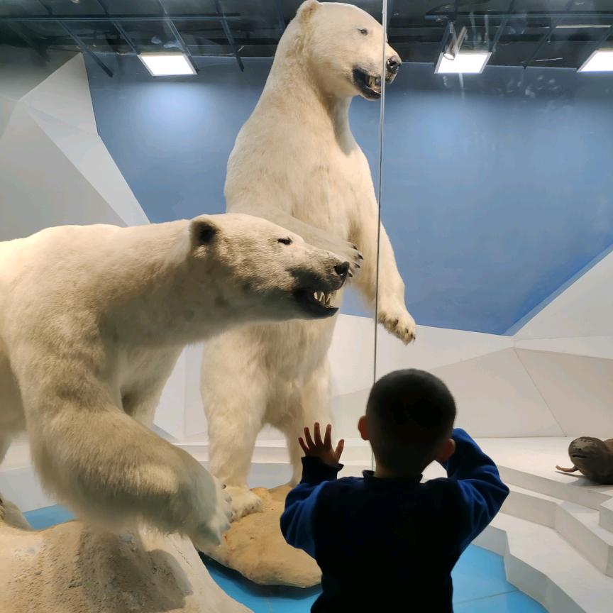 刘先生ԅ(¯ㅂ¯ԅ)