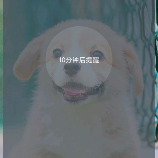 燕💙