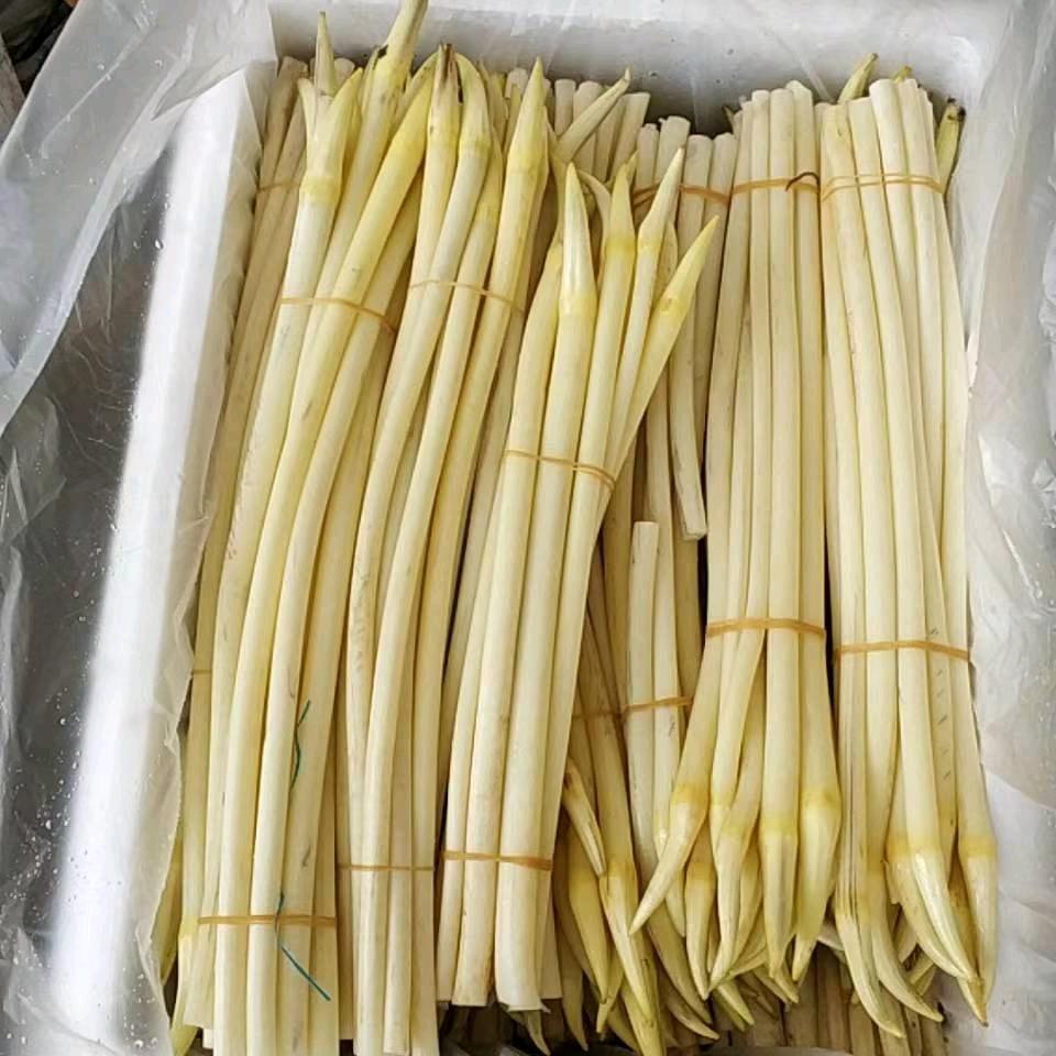 唐僧洗头爱飘柔