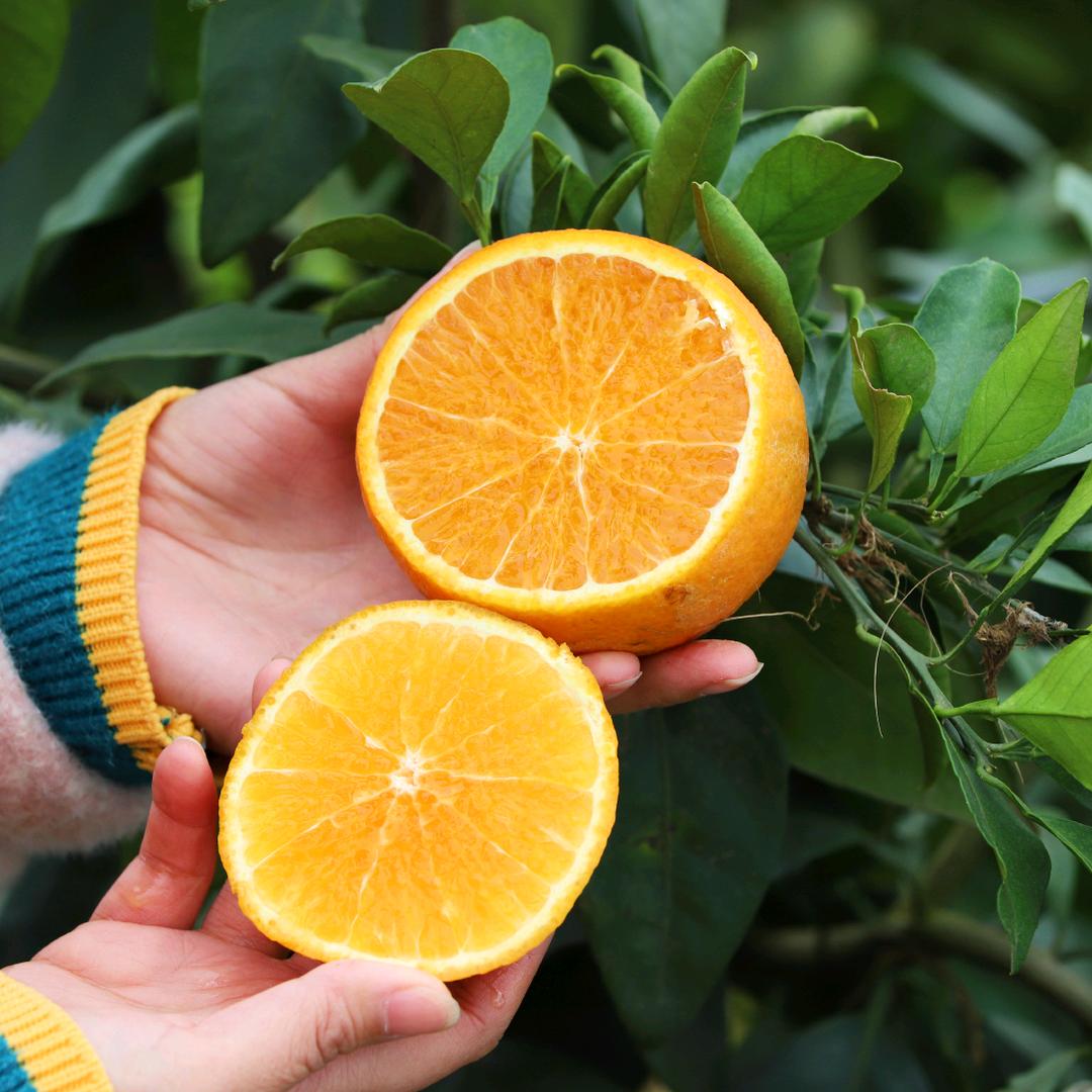 四川天水缘生态农业开发有限公司