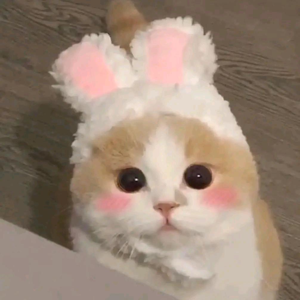 是喵爷
