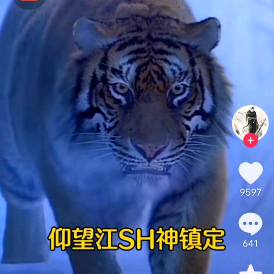 廾匸㣻亾