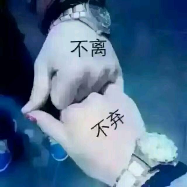 不@离@不@弃@的@自@由