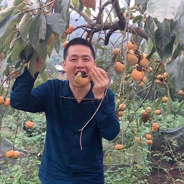 未来的梦