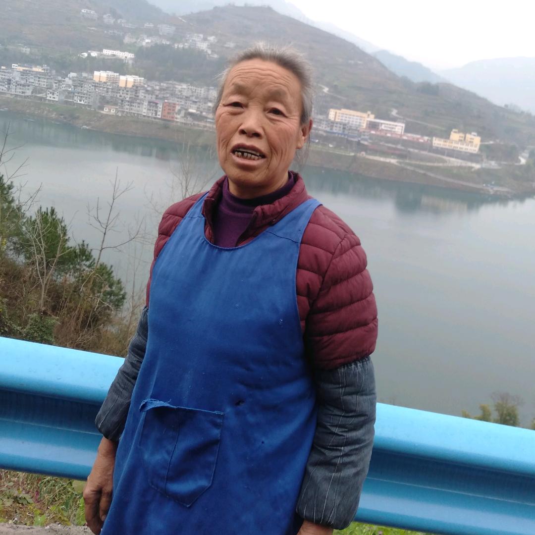 文大姐