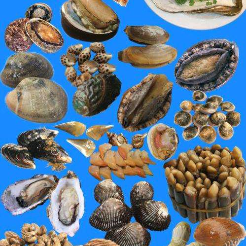 吕四精品海鲜行