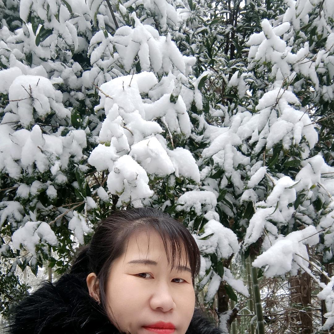 :兰花草