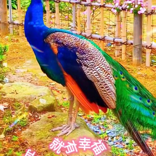 用户7177623614218