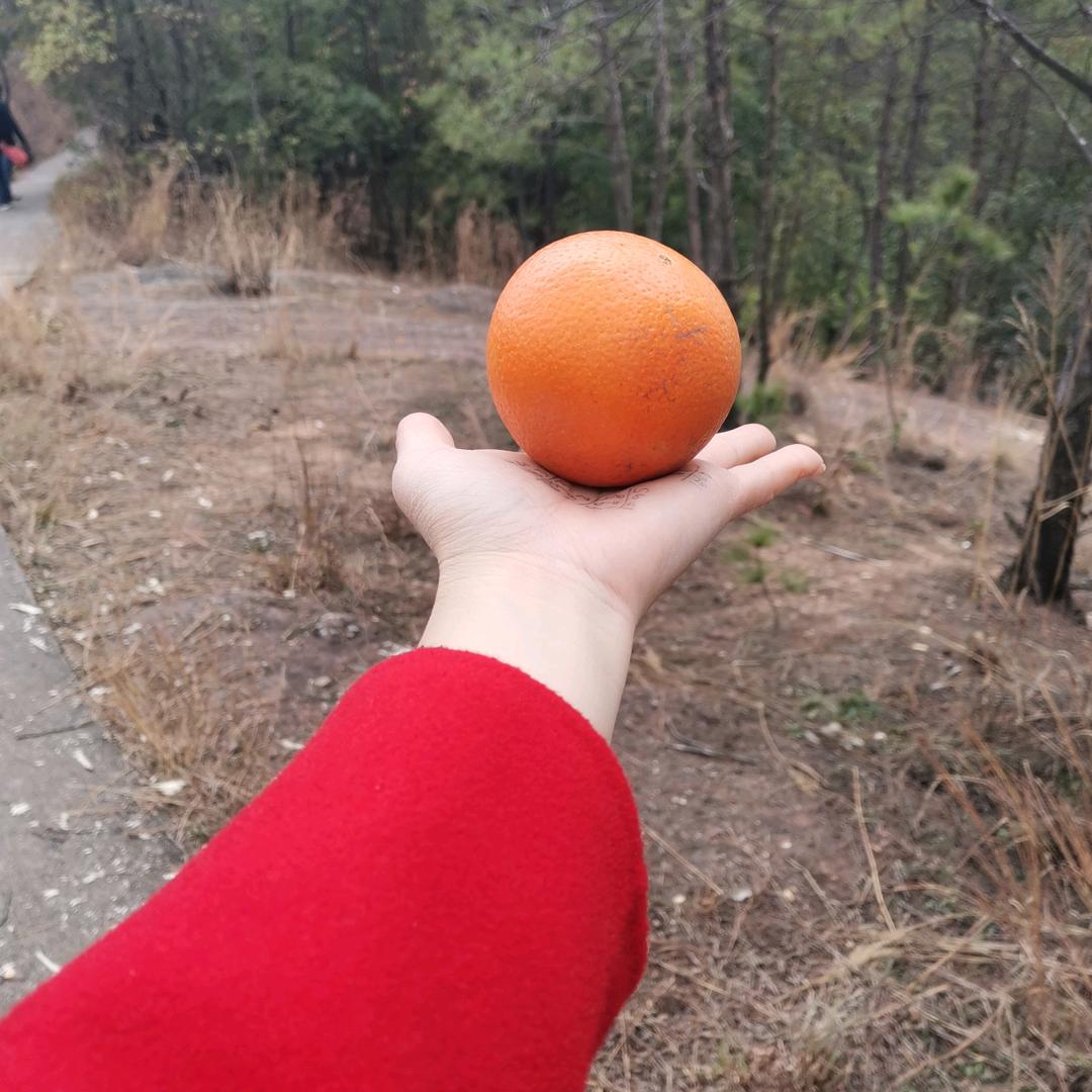 🍎🍎🍎优乐美🌾🌾🌾