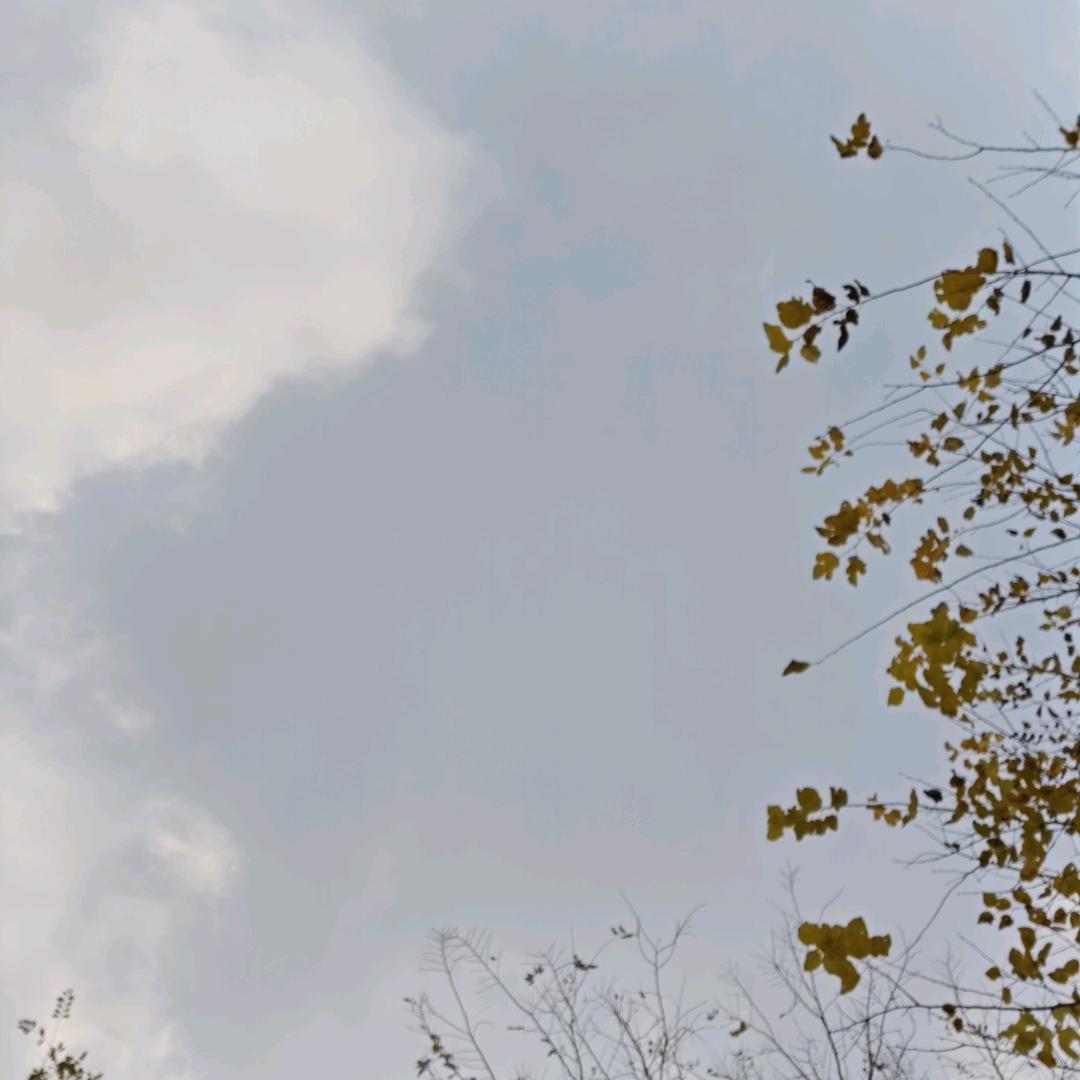 不知道听没听见