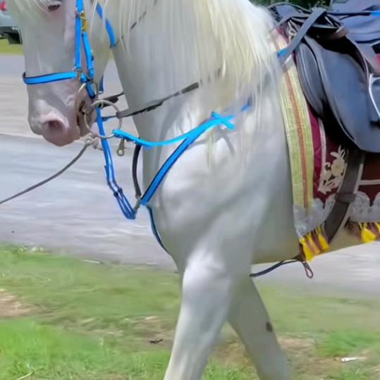 昨天