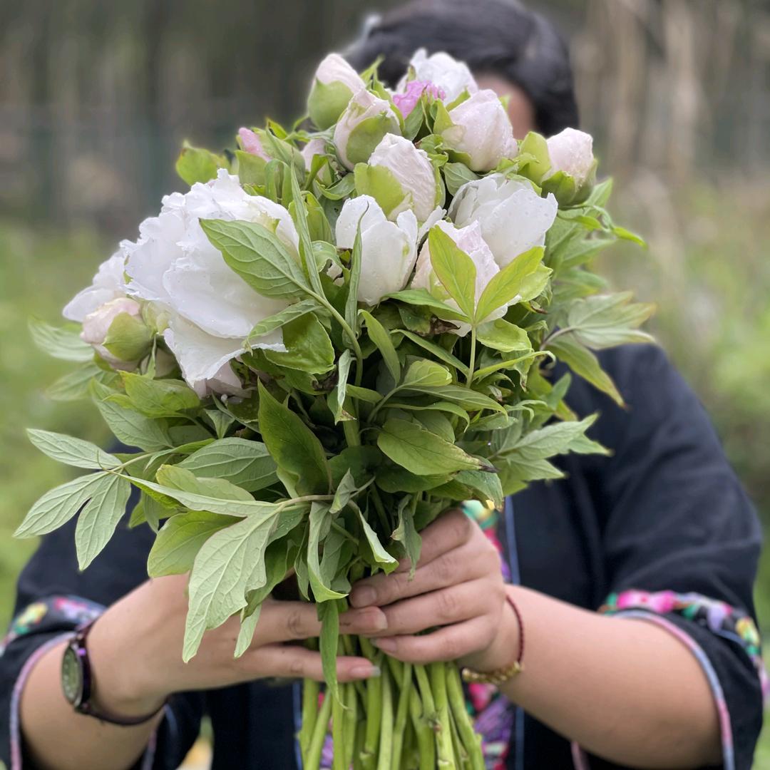 奇🌺🌺点🌹🌹