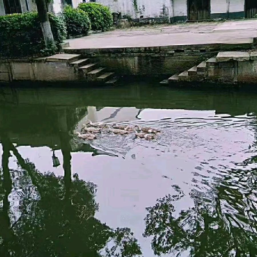 指尖缘爱