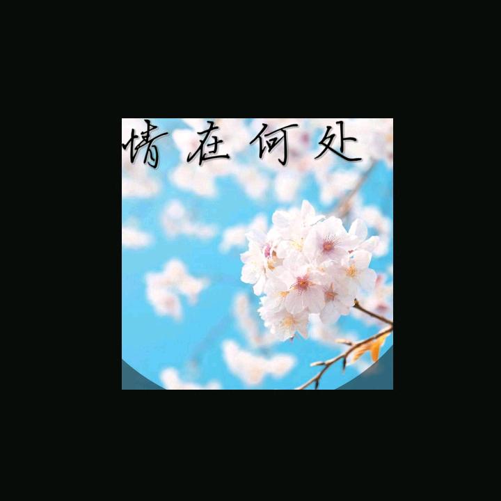 恨 是 爱 的 错
