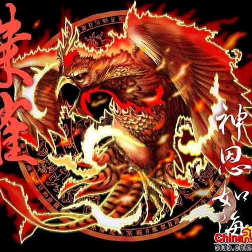 等风等雨亦等你