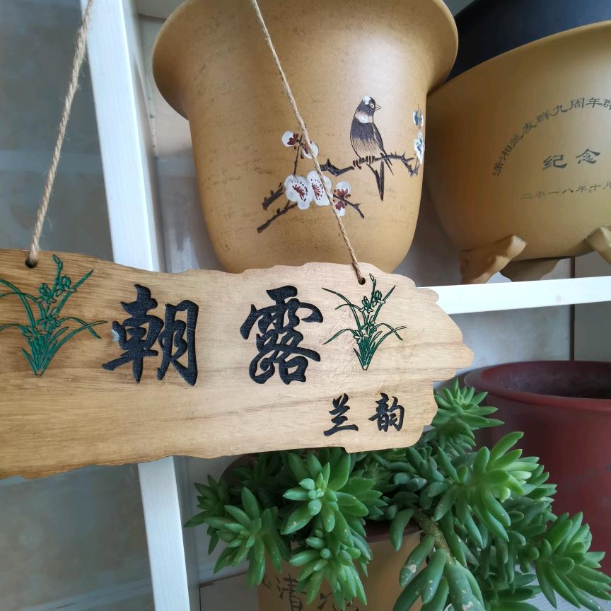 子 路