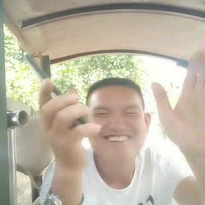 人生如梦老虎